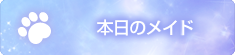 本日のスタッフ